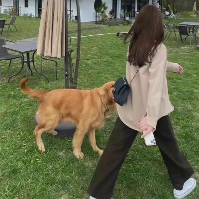 甜心老爸