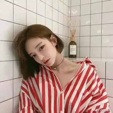 夜夜换新巢